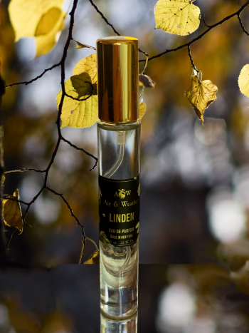 A 10 ml spray vial of Air & Weather's Linden sitting against a backdrop of linden tree leaves in golden sunlight.